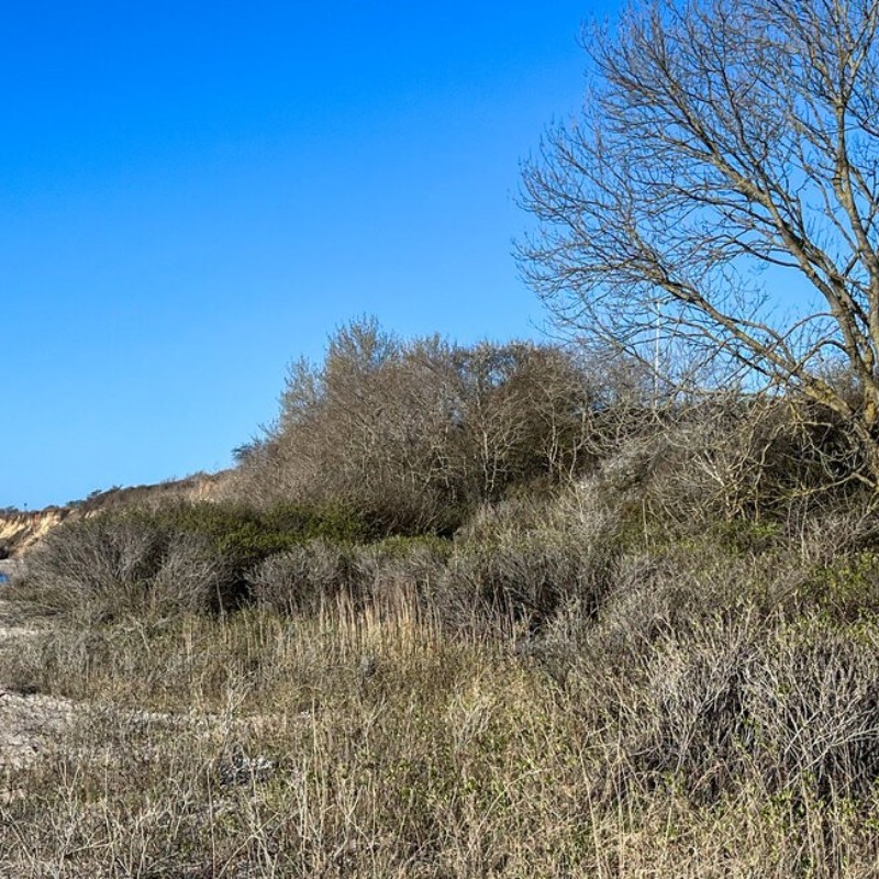 Ferienhaus - 4 Personen -  - Brunbjerg - Halk Strand - 6100 - Haderslev