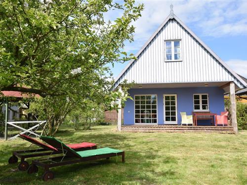 Ferienhaus - 6 Personen -  - 18230 - Rerik / Ot Roggow