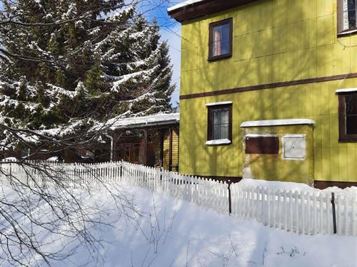 Ferielejlighed - 2 personer -  - Jachymov - 36251