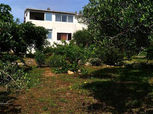 Holiday Home/Apartment - 6 persons -  - 22235 - Prvic Šepurine