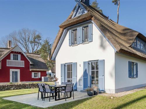 Feriehus - 6 personer -  - Am Kiefernwald - 17419 - Zirchow