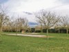 Bilde 5
