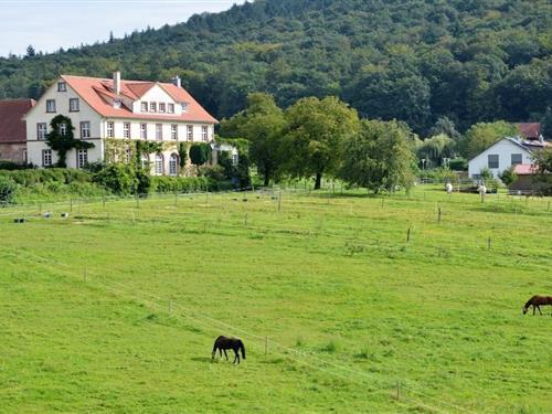 Semesterhus/Semesterlägenhet - 2 personer -  - 76571 - Gaggenau