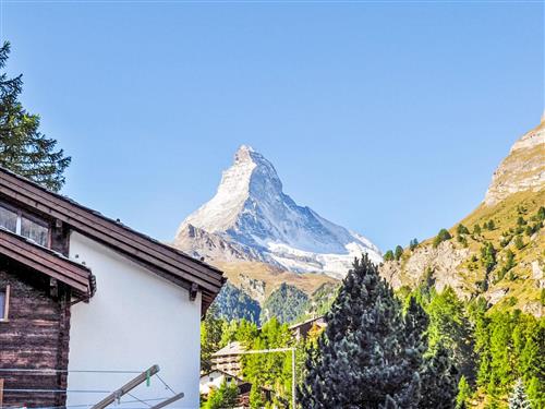 Holiday apartment - 12 persons -  - Zermatt - 3920