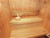 Image 35 - Sauna