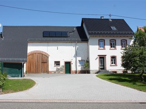 Holiday Home/Apartment - 6 persons -  - Heyrother Straße - 54552 - Dreis-Brück