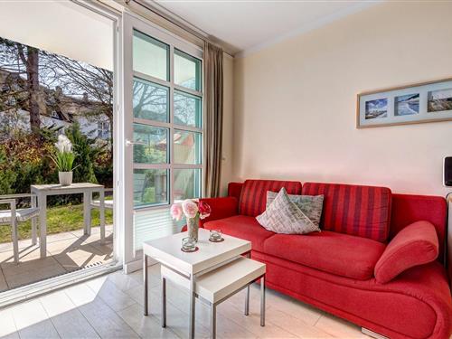 Ferielejlighed - 3 personer -  - Am Balmer See - 17429 - Balm