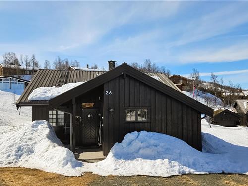 Sommerhus - 8 personer -  - Fjellparkvegen - Skinnarbu - 3660 - Rjukan