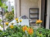 Image 28 - Outside