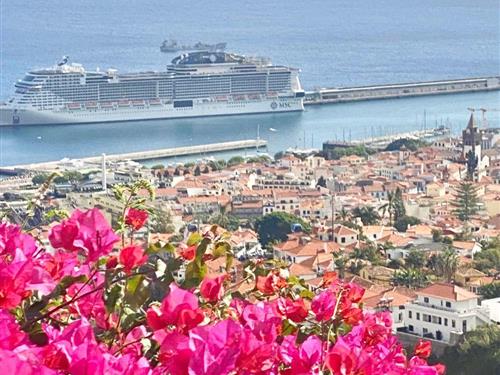 Holiday home - 7 persons -  - Madeira/Funchal - 9060-429