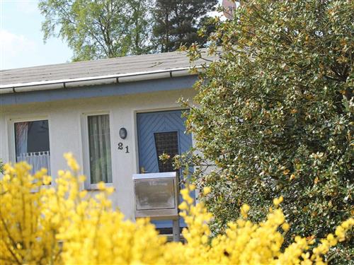 Ferieleilighet - 6 personer -  - Mühlenstr. - 18374 - Zingst / Ostseebad Zingst