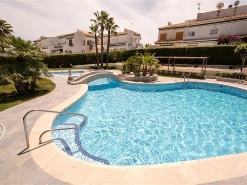 Semesterhus/Semesterlägenhet - 4 personer -  - Higuera - 03188 - Torrevieja-La Mata