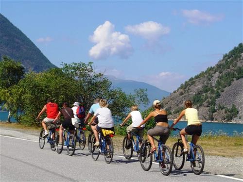 Vacation center - 3 persons -  - Grandavegen - 6887 - Lærdal