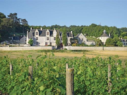 Sommerhus - 6 personer -  - Chateau de la Vauguyon - 37500 - Chinon