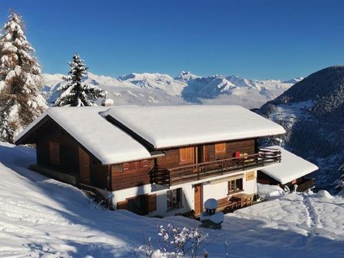 Holiday home - 15 persons -  - Rue du Télécabine - 1918 - La Tzoumaz