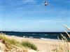 Bild 5 - Ude