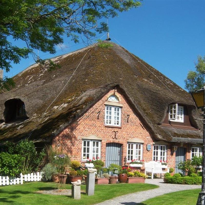 Sommerhus - 4 personer -  - 25826 - St.Peter-Ording