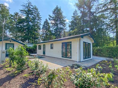 Holiday home - 4 persons -  - Enzerinckweg 12 - - 7251 KA - Vorden