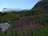 Bild 64