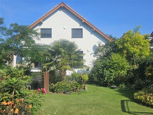 Ferieleilighet - 2 personer -  - St.-Peter-Straße - 53474 - Bad Neuenahr-Ahrweiler