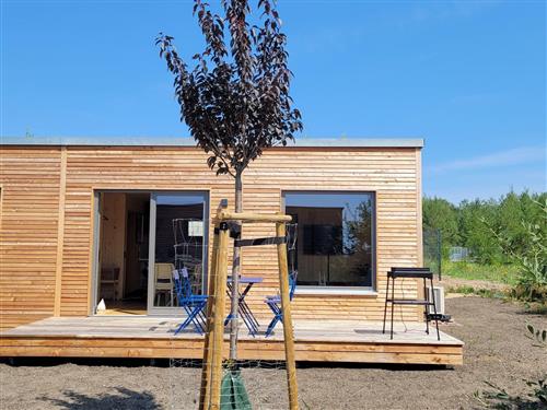 Sommerhus - 4 personer -  - Ditmar-Gurk-Weg - 03238 - Lichterfeld-Schacksdorf O