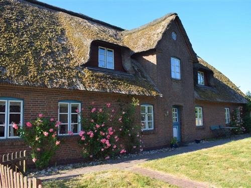 Ferielejlighed - 6 personer -  - Am Kanal - 25842 - Ockholm