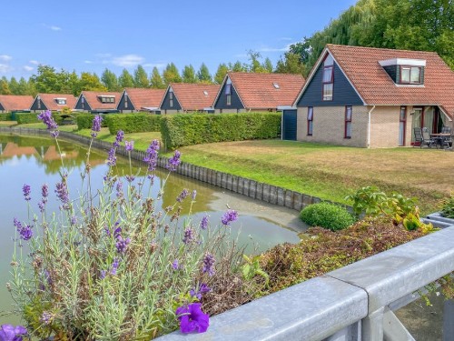 Fritidshus - 4 personer -  - Hof van Zeeland - Hof Van Zeeland - 4451 RS - Heinkenzand