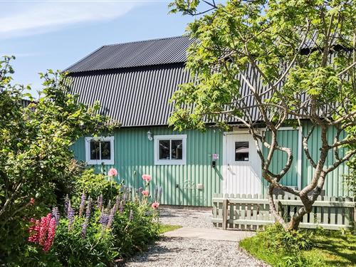 Holiday home - 4 persons -  - Södra Kustvägen - 623 77 - Klintehamn