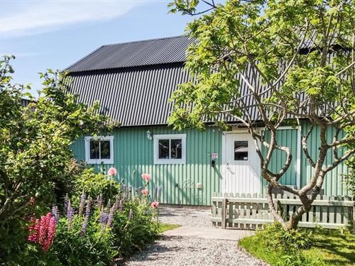 Holiday home - 4 persons -  - Södra Kustvägen - 623 77 - Klintehamn