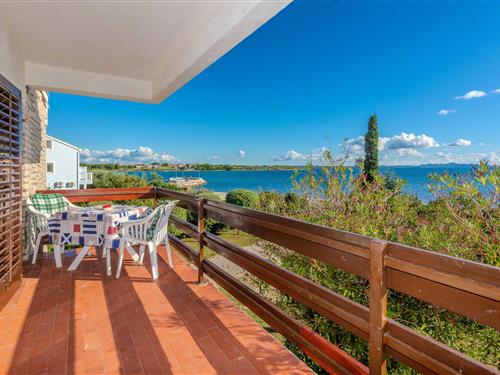 Holiday apartment - 4 persons -  - Ulica Grgura Ninskog - 23233 - Privlaka