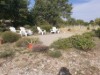 Bilde 29