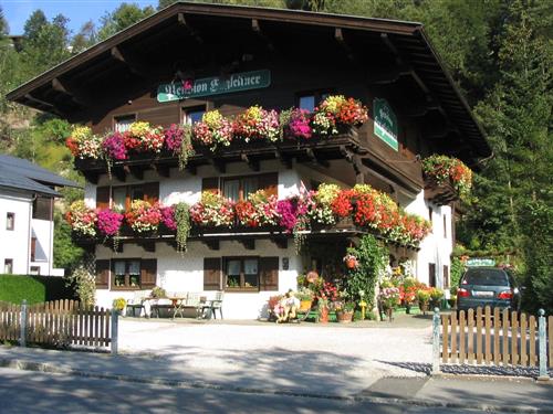 Holiday Home/Apartment - 6 persons -  - 5753 - Saalbach-Hinterglemm