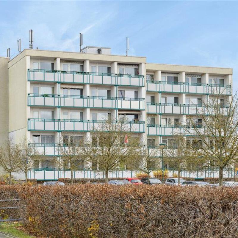 Ferielejlighed - 2 personer -  - Friedländer Landstrasse - 17389 - Anklam