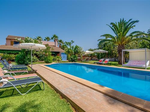 Holiday home - 7 persons -  - Diseminado Diseminados - Ca Na Bisquerra, Can Picafort - 07458 - Can Picafort