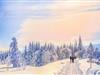 Bild 40