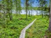 Bild 22 - Inde