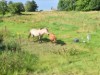 Image 13
