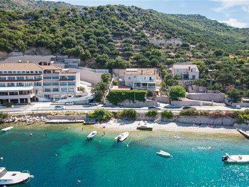 Holiday apartment - 4 persons -  - Na Ratu - Dubrovnik-Zaton - 20235 - Zaton Mali