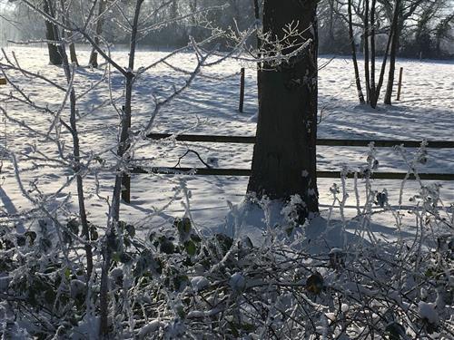 Ferieleilighet - 5 personer -  - Osterweder Straße - 27726 - Worpswede