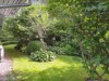 Billede 20 - Grund