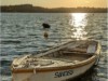 Billede 36