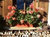 Bilde 4