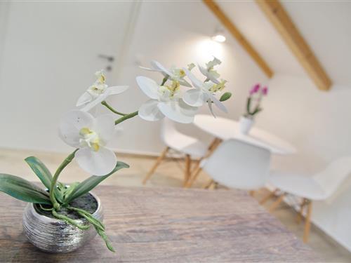 Ferielejlighed - 2 personer -  - 20000 - Dubrovnik