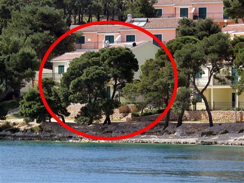 Ferieleilighet - 4 personer -  - Kopara - 22203 - Rogoznica