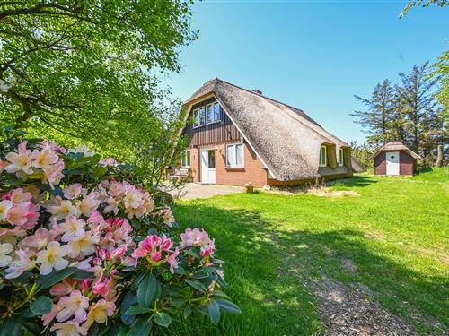Ferienhaus - 4 Personen -  - Svollingvej - Vester Husby - 6990 - Ulfborg