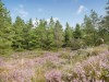 Billede 13 - Område