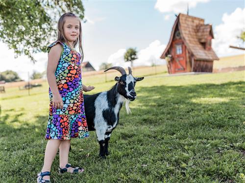 Bondgård - 2 personer -  - Hauptstraße - 91720 - Absberg