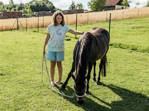 Bondegård - 2 personer -  - Hauptstraße - 91720 - Absberg