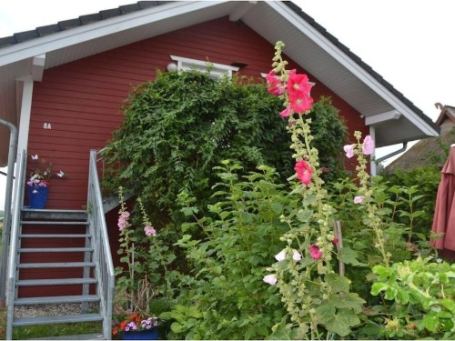 Ferienhaus - 2 Personen -  - 18375 - Wieck A Darss