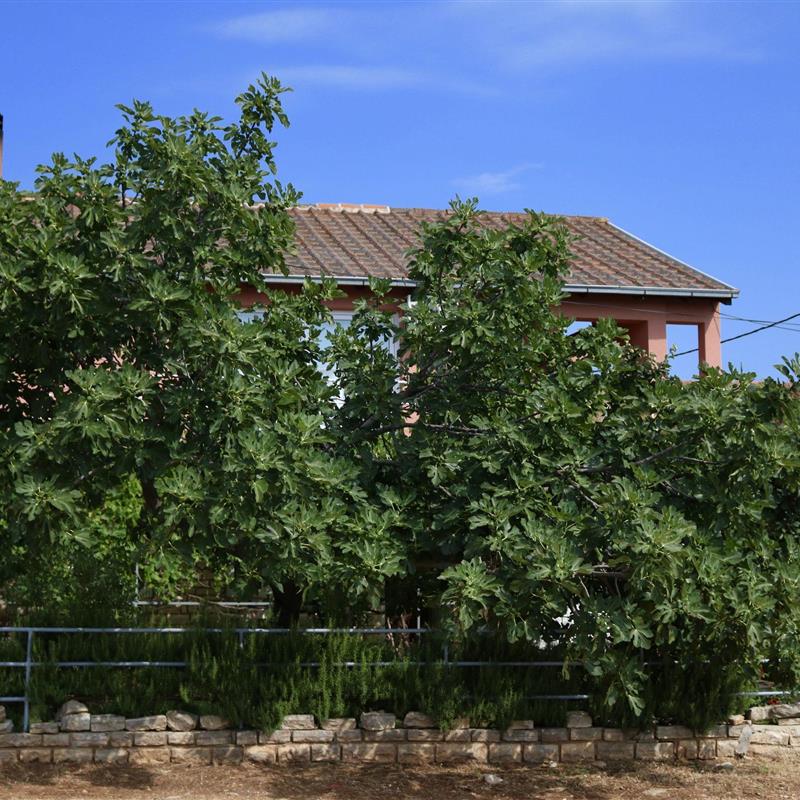 Ferielejlighed - 4 personer -  - Prva ulica 15, Karin Gornji - 23452 - Karin